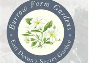 Burrow Farm Gardens