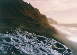 What's On at The Hotel Alexandra