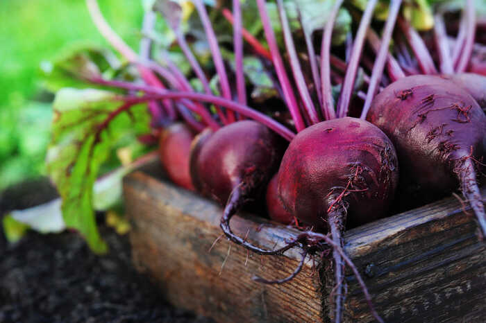 beetroots in a crate
