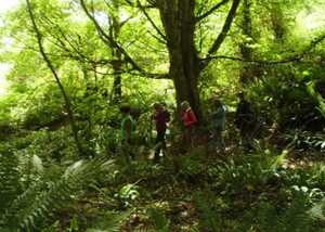 French Lieutenant’s Woman Tours