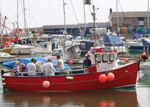 Mackerel Fishing in Lyme Bay